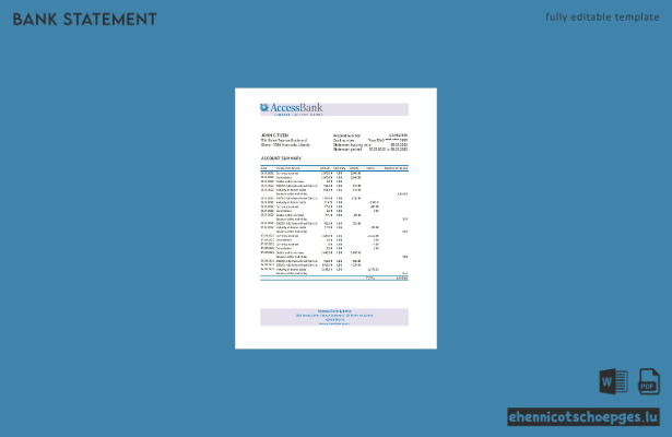 Liberia Access Kontoauszug Excel-Beispielvorschau